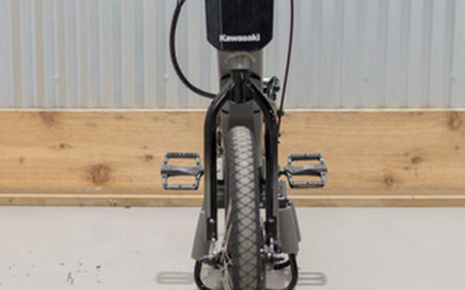 2025 Kawasaki ELEKTRODE 20FS