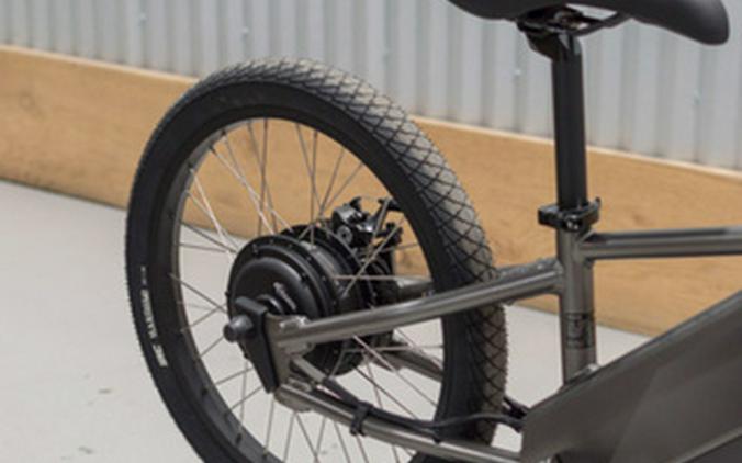 2025 Kawasaki ELEKTRODE 20FS