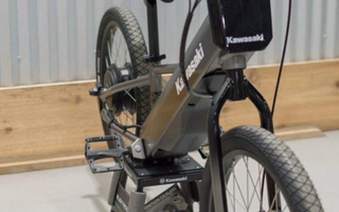 2025 Kawasaki ELEKTRODE 20FS