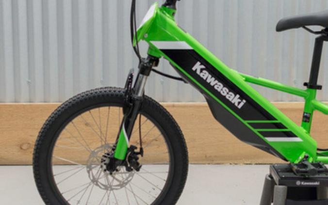 2025 Kawasaki ELEKTRODE 20