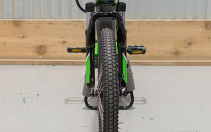 2025 Kawasaki ELEKTRODE 20