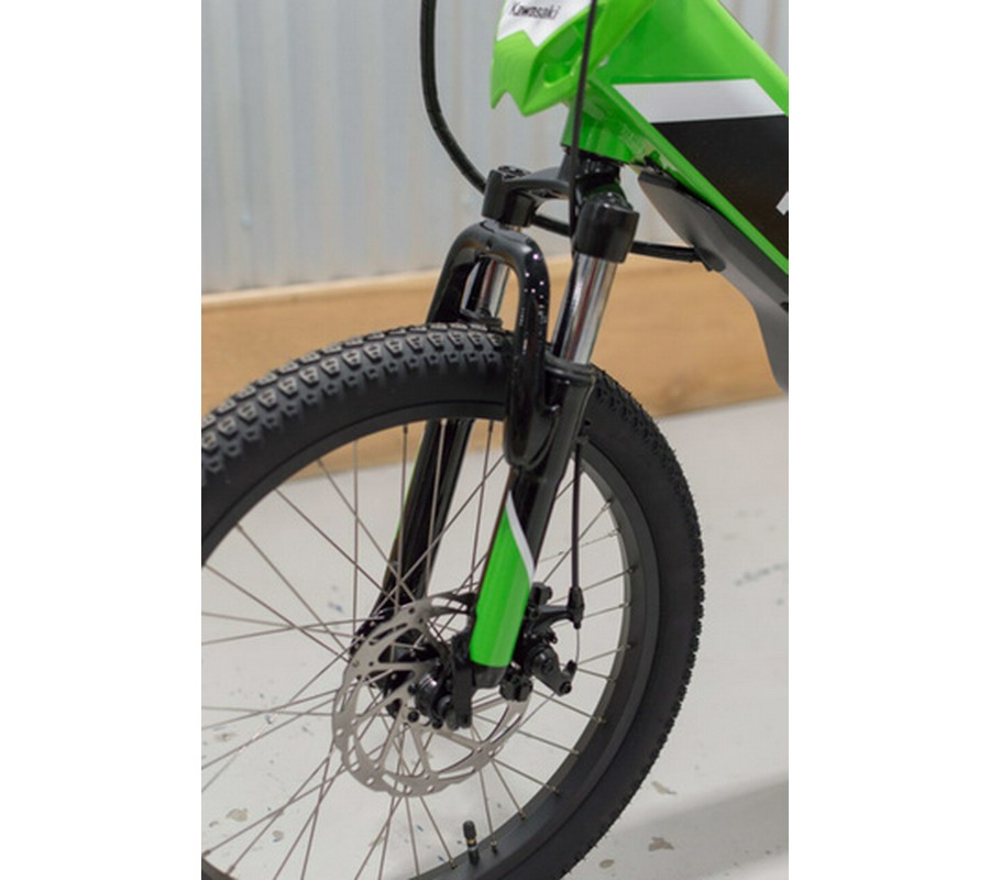 2025 Kawasaki ELEKTRODE 20