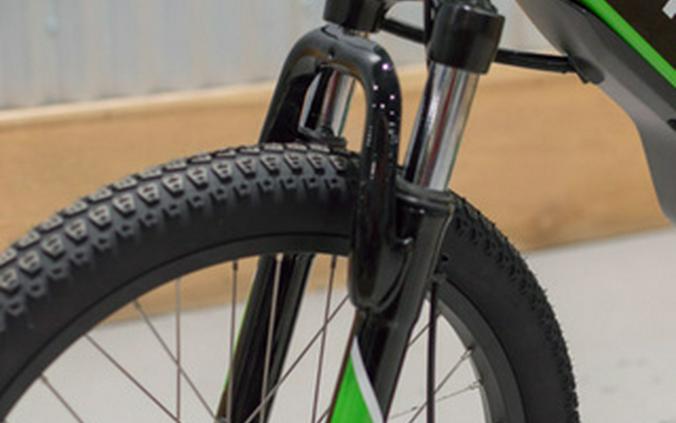 2025 Kawasaki ELEKTRODE 20