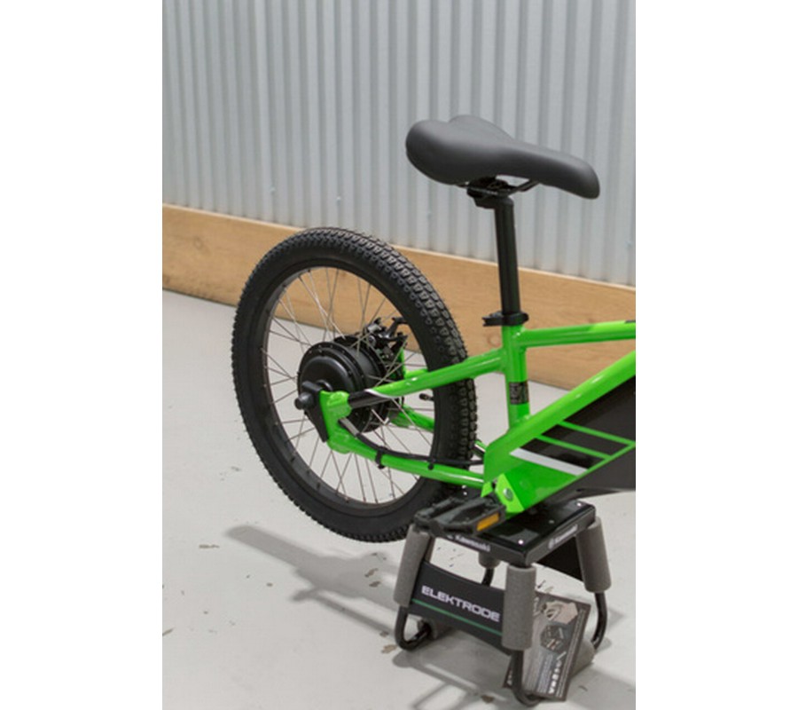 2025 Kawasaki ELEKTRODE 20