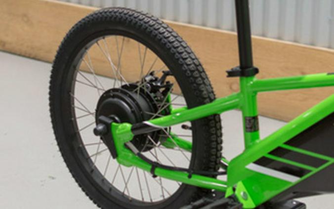 2025 Kawasaki ELEKTRODE 20