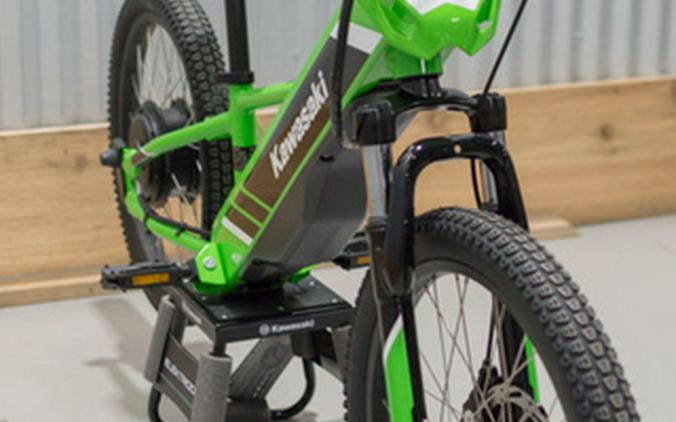 2025 Kawasaki ELEKTRODE 20