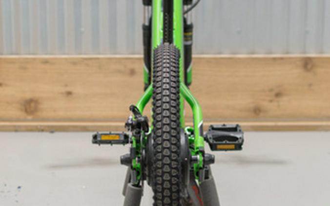 2025 Kawasaki ELEKTRODE 20