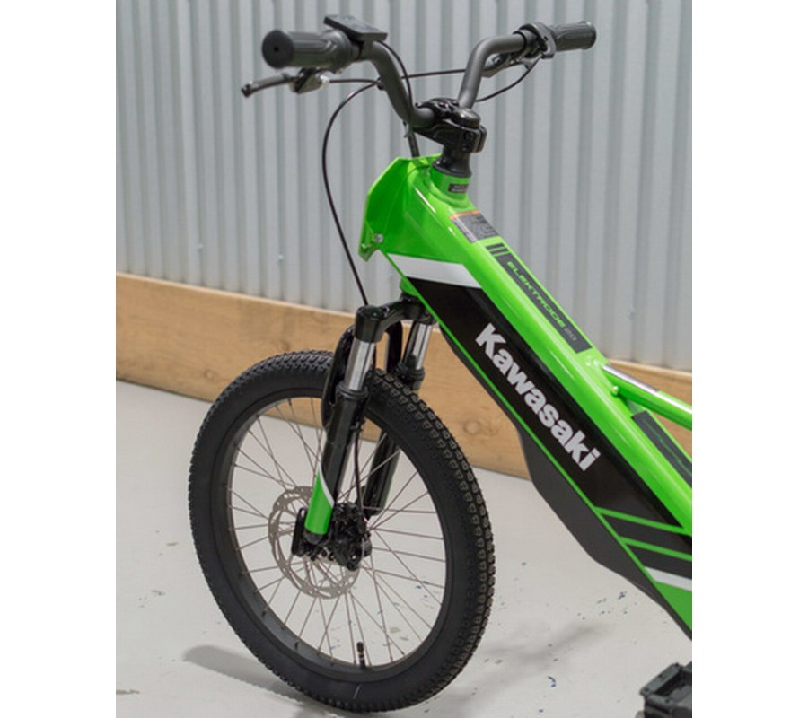 2025 Kawasaki ELEKTRODE 20
