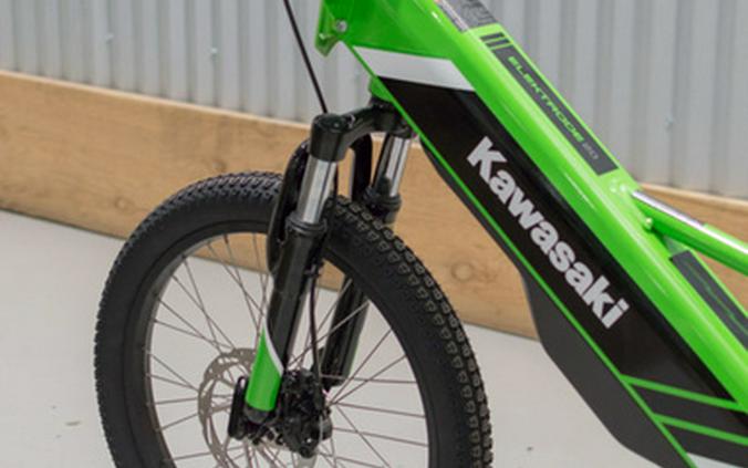 2025 Kawasaki ELEKTRODE 20