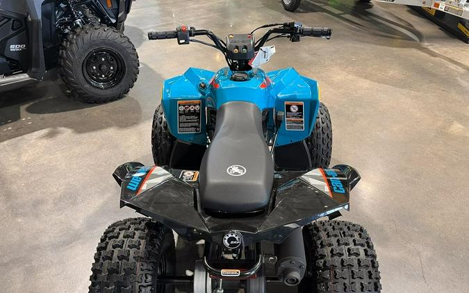 2024 Can-Am® Renegade 110 EFI