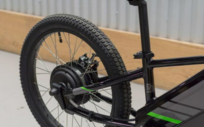 2025 Kawasaki ELEKTRODE 20