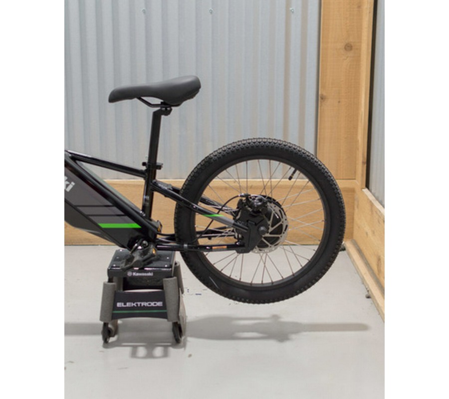 2025 Kawasaki ELEKTRODE 20