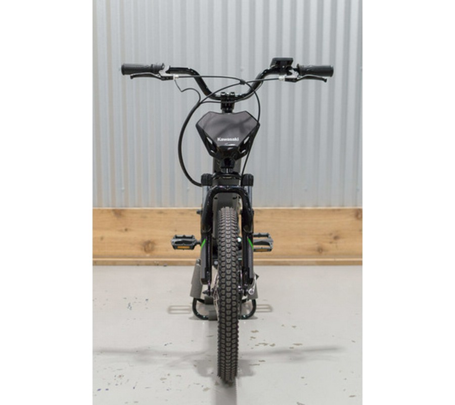 2025 Kawasaki ELEKTRODE 20