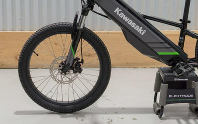 2025 Kawasaki ELEKTRODE 20
