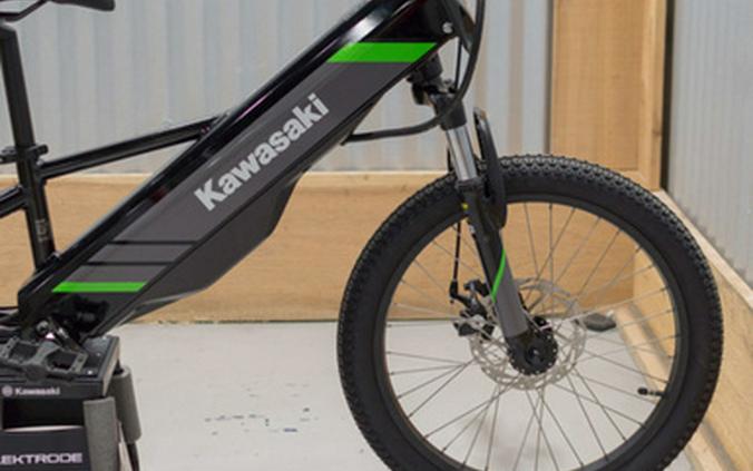 2025 Kawasaki ELEKTRODE 20