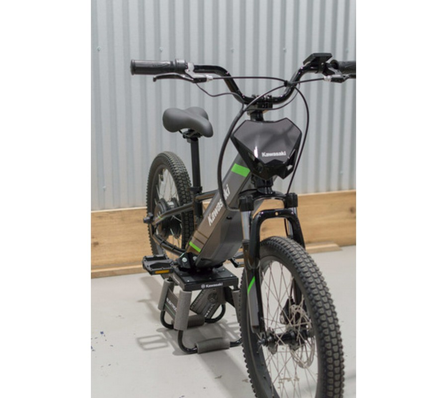 2025 Kawasaki ELEKTRODE 20