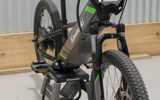 2025 Kawasaki ELEKTRODE 20