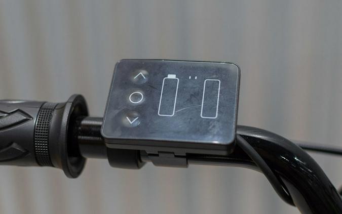 2025 Kawasaki ELEKTRODE 20