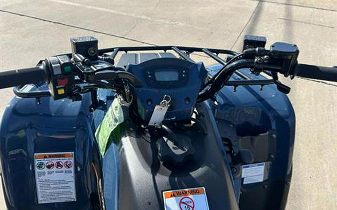 2025 Kawasaki Brute Force 300