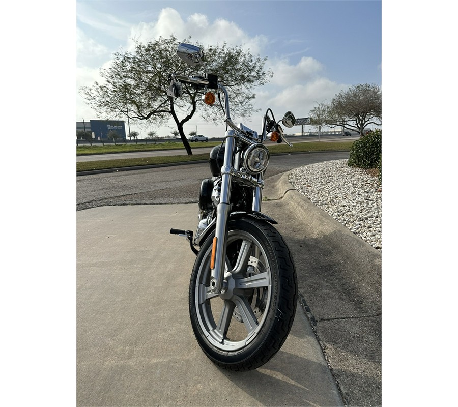 2024 Harley-Davidson Softail Standard