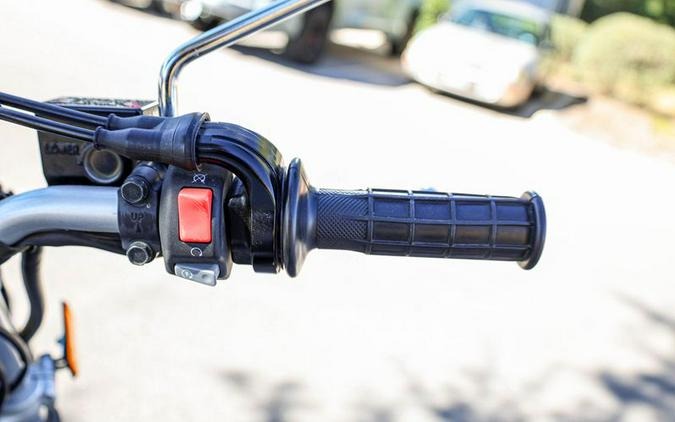 Used 2022 YAMAHA TW200