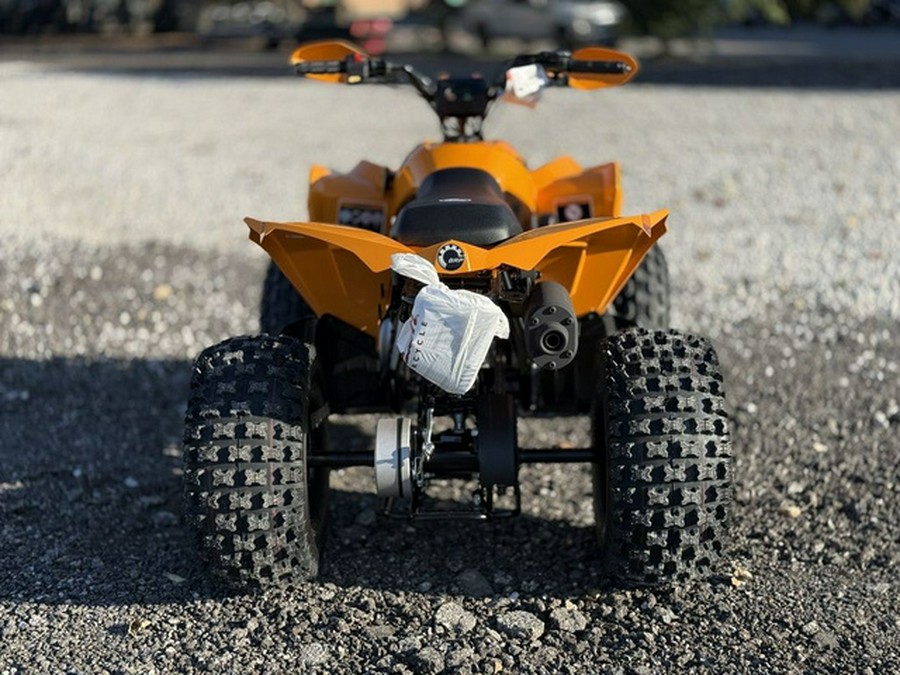 2027 Can-Am Renegade X Xc 110 EFI