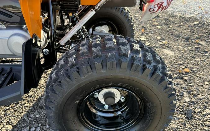 2027 Can-Am Renegade X Xc 110 EFI