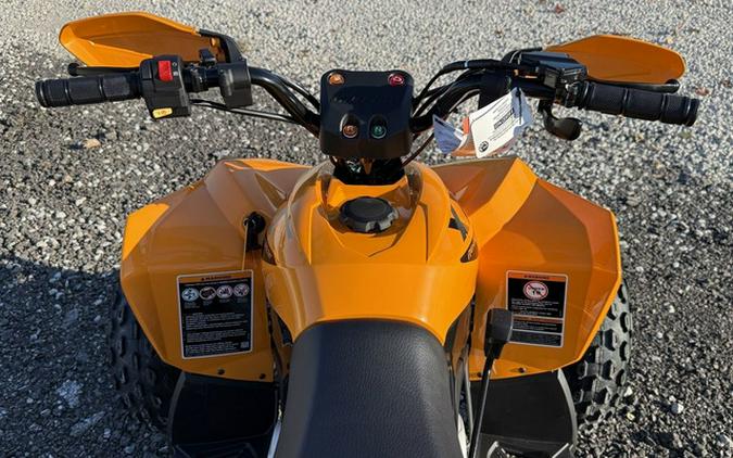 2027 Can-Am Renegade X Xc 110 EFI