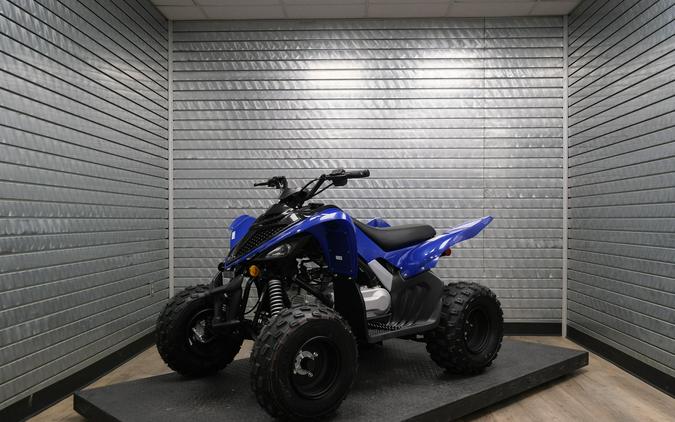 2026 YAMAHA RAPTOR 110