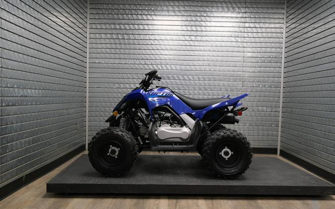 2026 YAMAHA RAPTOR 110