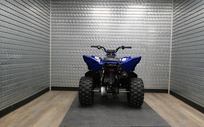 2026 YAMAHA RAPTOR 110