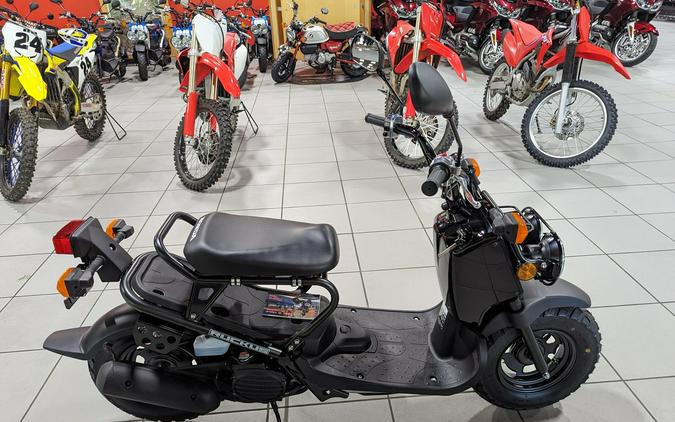 2024 Honda Ruckus