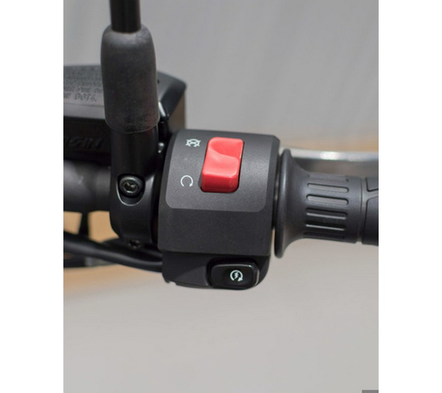 2025 Kawasaki Vulcan S