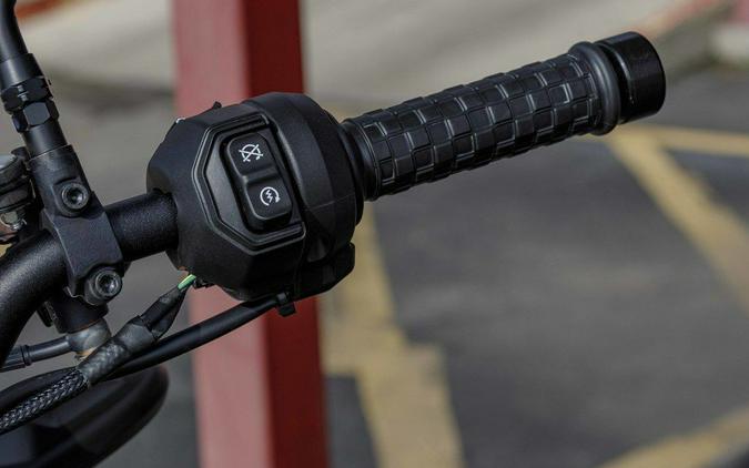 2024 Indian Motorcycle FTR R Carbon