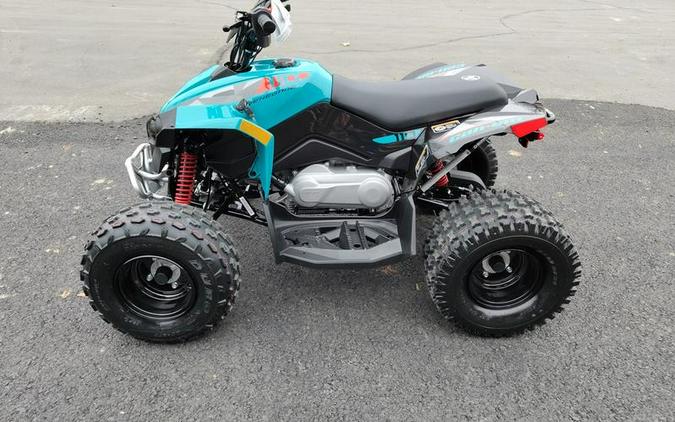 2024 Can-Am® Renegade 110 EFI