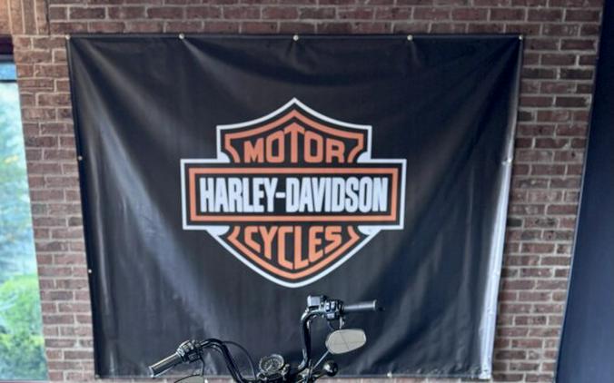 2018 Harley-Davidson Forty-Eight Special Billiard White