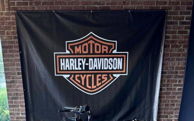 2018 Harley-Davidson Forty-Eight Special Billiard White