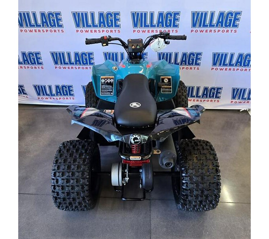 2026 Can-Am® Renegade 110 EFI