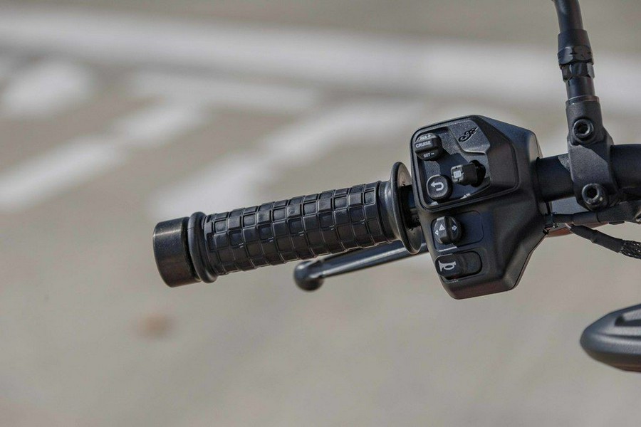 2024 Indian Motorcycle FTR Sport