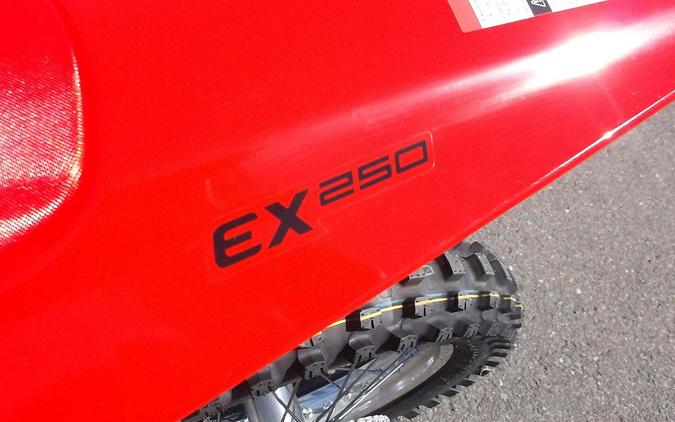 2025 GASGAS EX 250