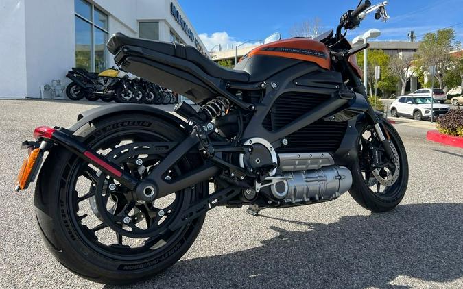 2020 Harley-Davidson® ELW - LiveWire™