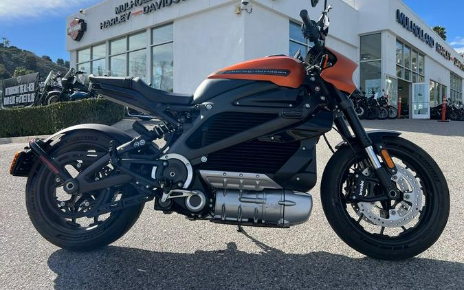 2020 Harley-Davidson LiveWire First Ride