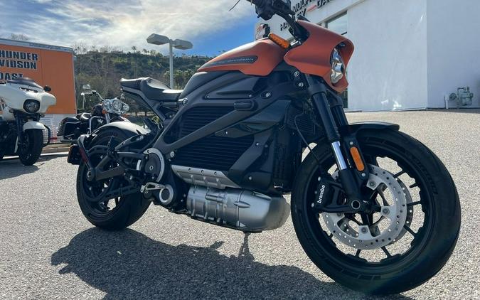 2020 Harley-Davidson® ELW - LiveWire™