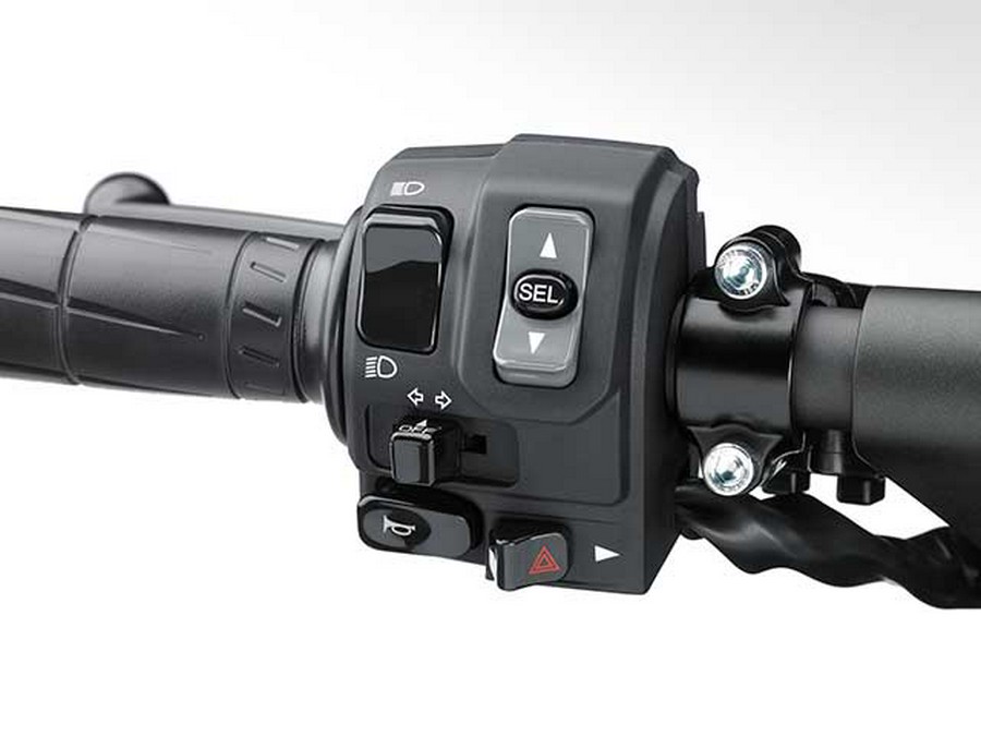 2015 Kawasaki Ninja® 1000 ABS