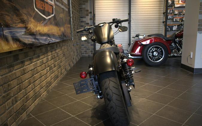 2019 Harley-Davidson Iron 883