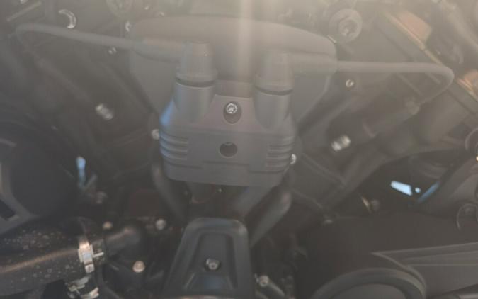 RH1250S 2023 Sportster® S