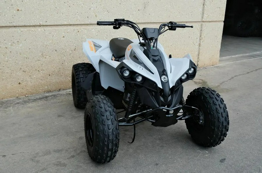 2027 Can-AM Renegade 110 EFI