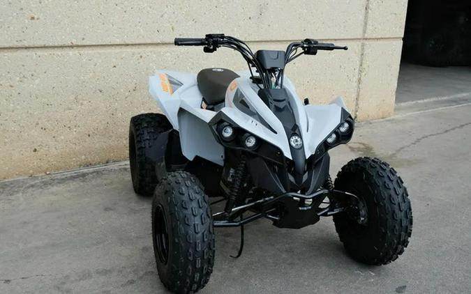 2027 Can-AM Renegade 110 EFI