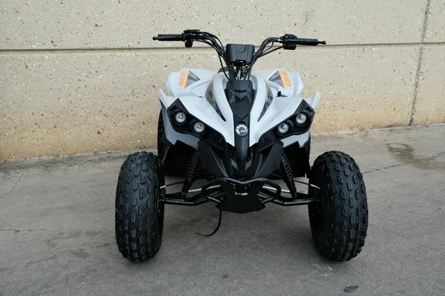 2027 Can-AM Renegade 110 EFI