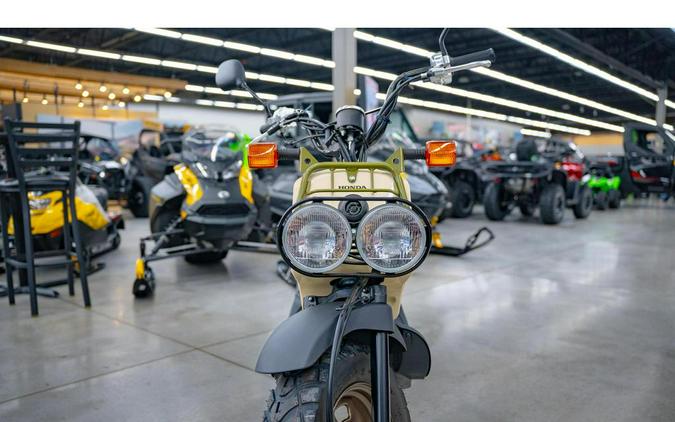 2024 Honda Ruckus